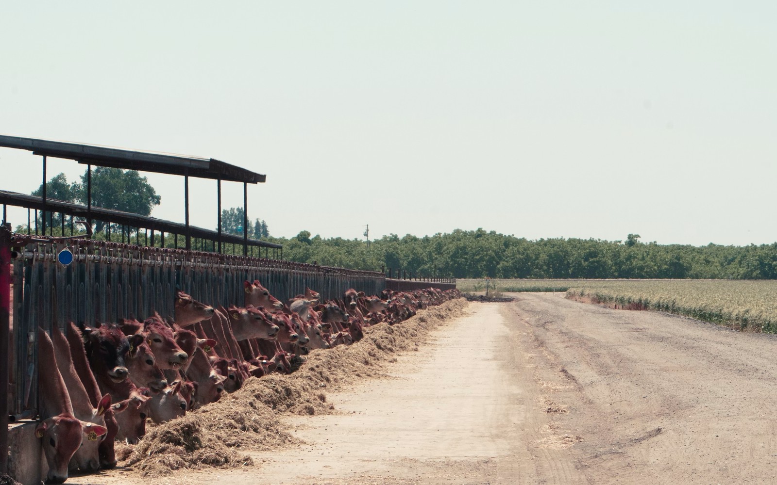 1031 From Farmland Into Minerals