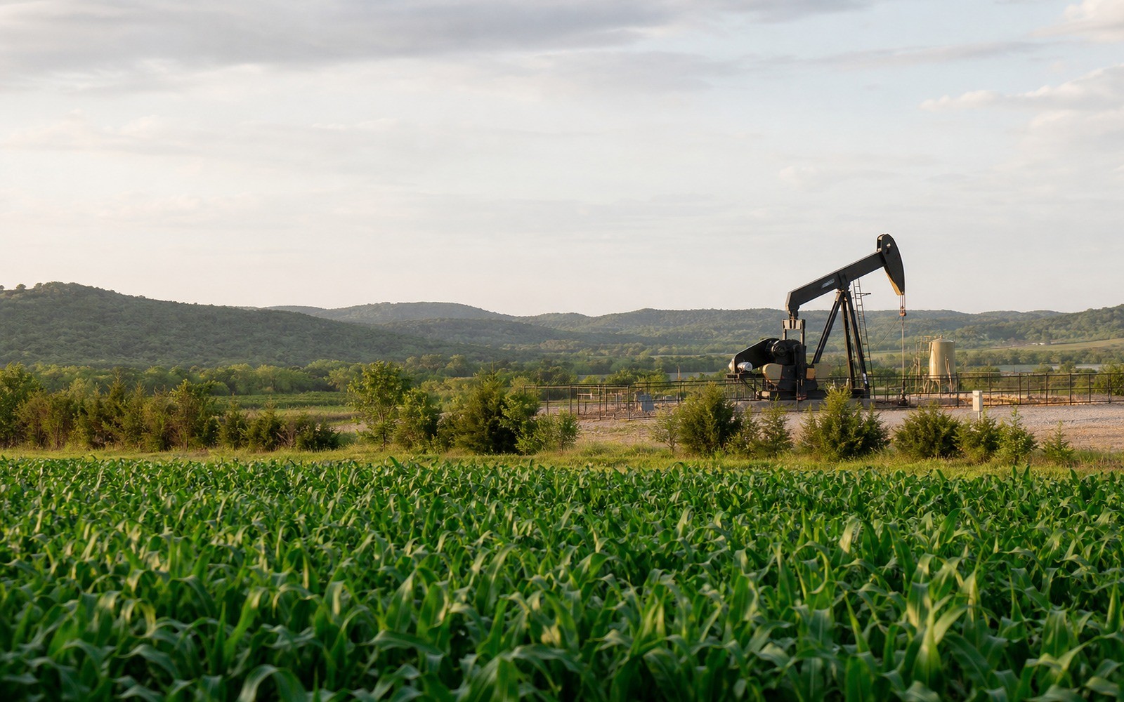 Diversifying a Portfolio With Minerals