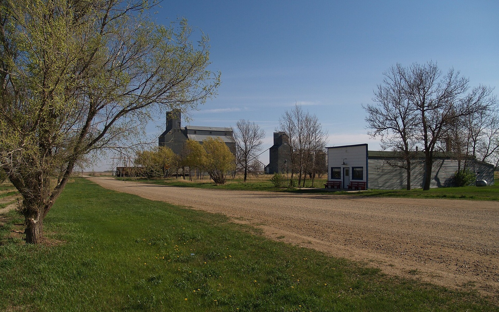 Sell Mineral Rights in Ambrose, ND