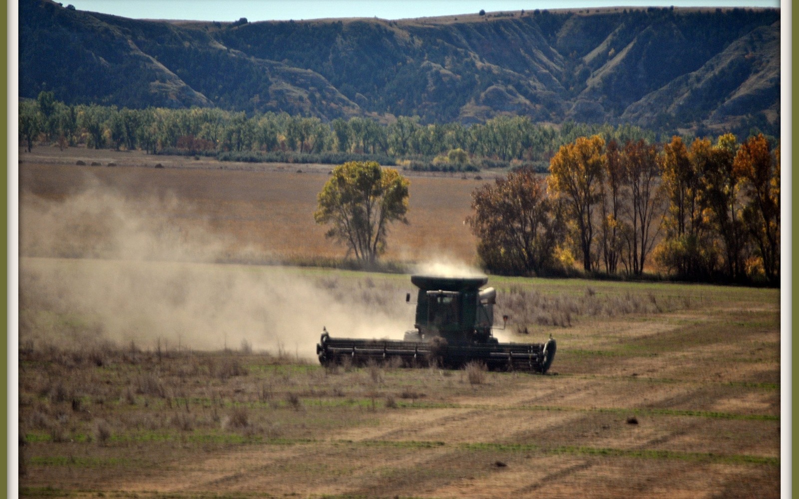Sell Mineral Rights in Brockton, MT